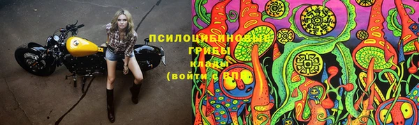 ALPHA-PVP Алексеевка