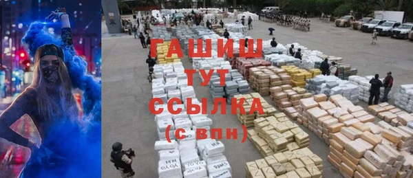 крисы Алзамай