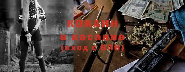крисы Алзамай