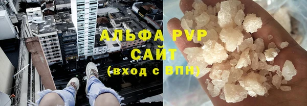 прущие грибы Абдулино