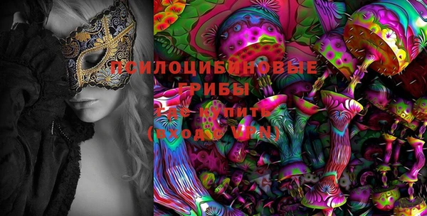 ALPHA-PVP Алексеевка