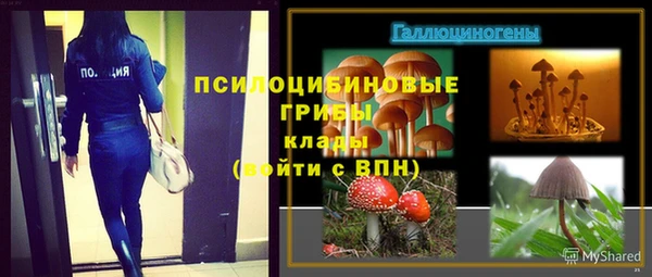 стафф Алексин