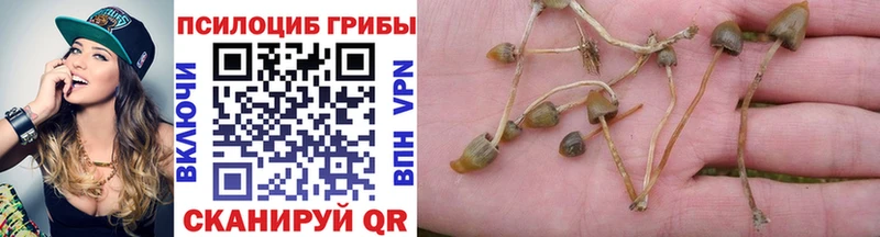 Галлюциногенные грибы ЛСД  купить  сайты  МЕГА онион  Николаевск-на-Амуре 